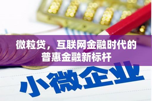 西陵微粒贷，互联网金融时代的普惠金融新标杆