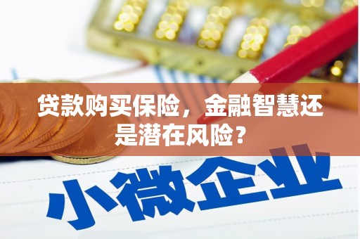 西陵贷款购买保险，金融智慧还是潜在风险？