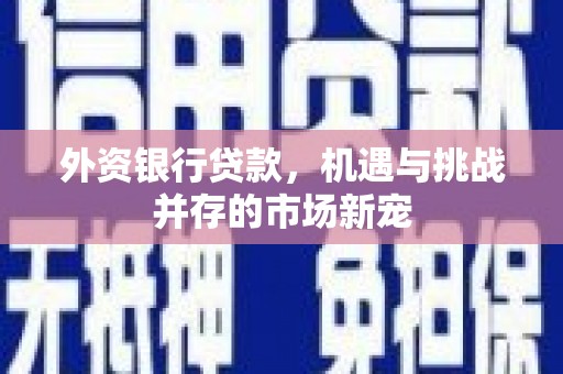 西陵外资银行贷款，机遇与挑战并存的市场新宠