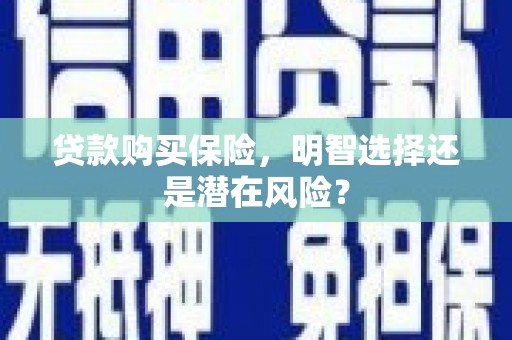 西陵贷款购买保险，明智选择还是潜在风险？