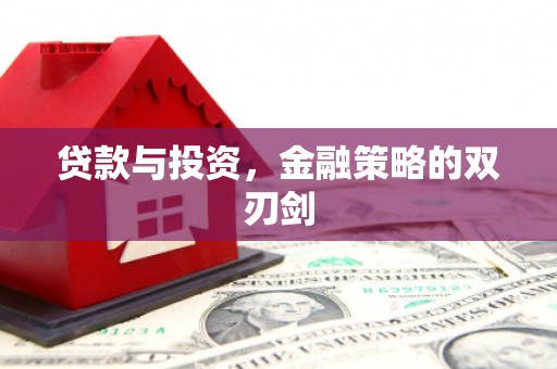 西陵贷款与投资，金融策略的双刃剑