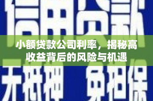 西陵小额贷款公司利率，揭秘高收益背后的风险与机遇