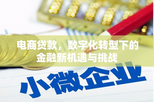 西陵电商贷款，数字化转型下的金融新机遇与挑战
