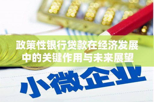 西陵政策性银行贷款在经济发展中的关键作用与未来展望