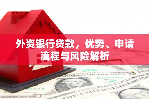 西陵外资银行贷款，优势、申请流程与风险解析
