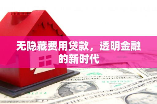 西陵无隐藏费用贷款，透明金融的新时代
