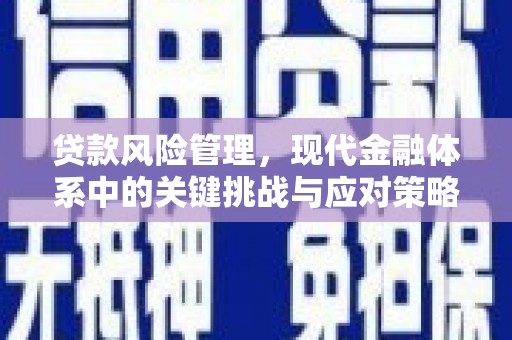 西陵贷款风险管理，现代金融体系中的关键挑战与应对策略