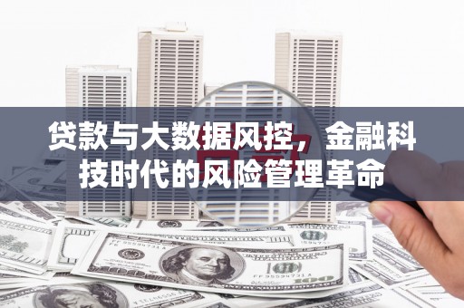 西陵贷款与大数据风控，金融科技时代的风险管理革命