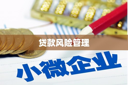 西陵贷款风险管理