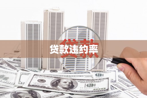 西陵贷款违约率