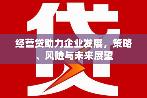 西陵经营贷助力企业发展，策略、风险与未来展望