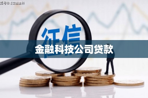 西陵金融科技公司贷款