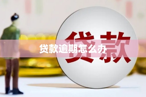 西陵贷款逾期怎么办