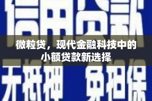 西陵微粒贷，现代金融科技中的小额贷款新选择
