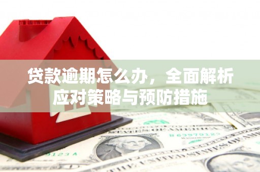 西陵贷款逾期怎么办，全面解析应对策略与预防措施