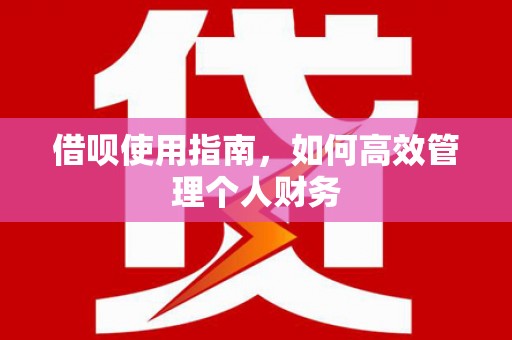 西陵借呗使用指南，如何高效管理个人财务