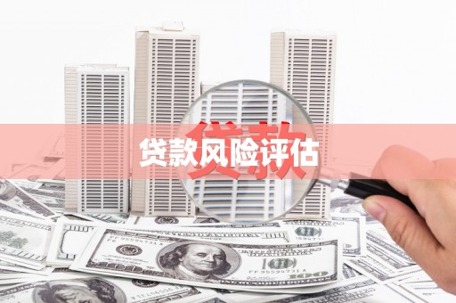 西陵贷款风险评估
