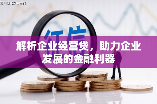 西陵解析企业经营贷，助力企业发展的金融利器