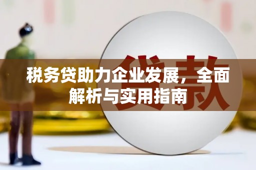 西陵税务贷助力企业发展，全面解析与实用指南