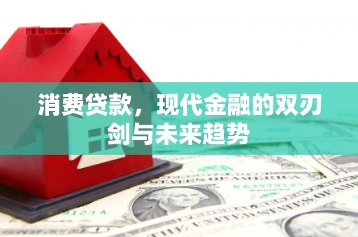 西陵消费贷款，现代金融的双刃剑与未来趋势