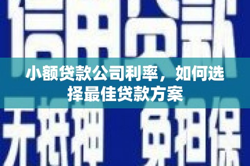 西陵小额贷款公司利率，如何选择最佳贷款方案