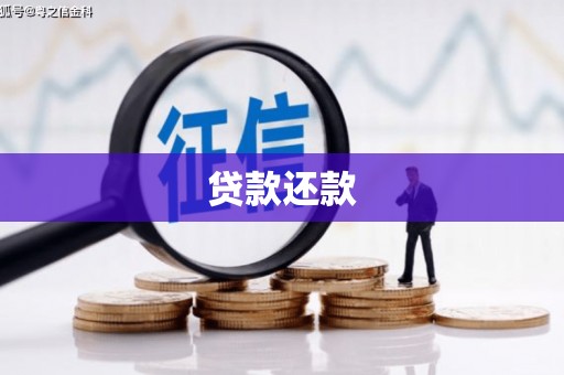 西陵贷款还款