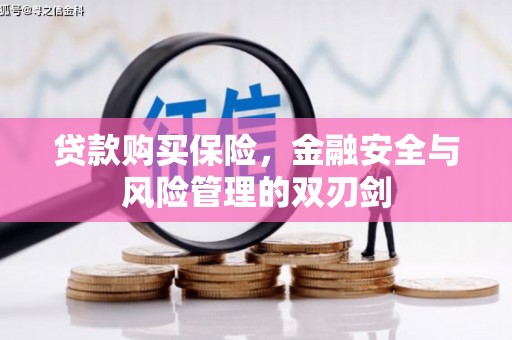 西陵贷款购买保险，金融安全与风险管理的双刃剑