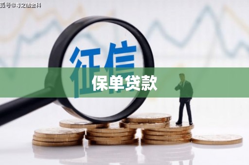 西陵保单贷款