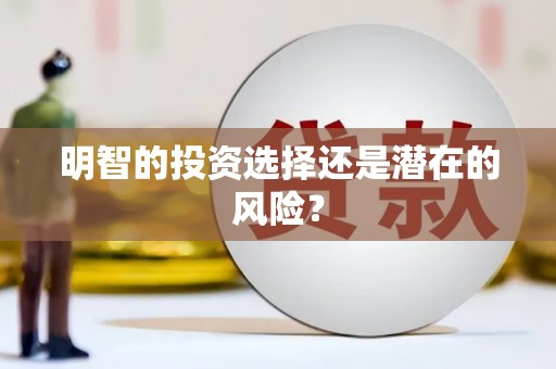 西陵明智的投资选择还是潜在的风险？