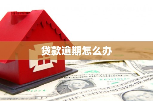 西陵贷款逾期怎么办