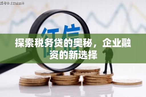 西陵探索税务贷的奥秘，企业融资的新选择