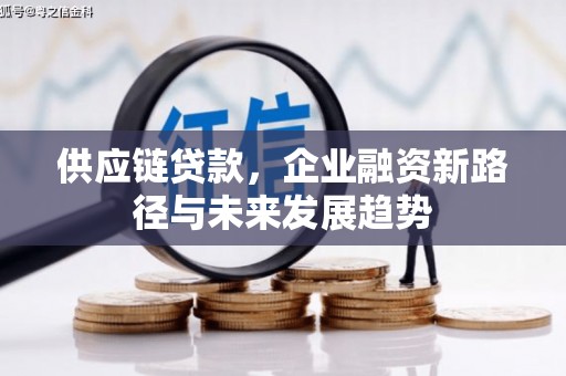 西陵供应链贷款，企业融资新路径与未来发展趋势
