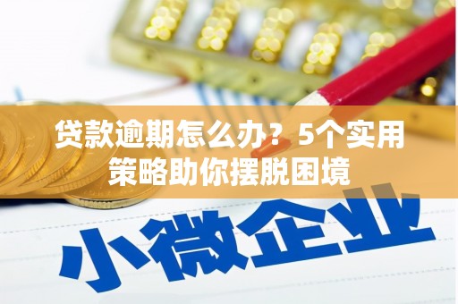 西陵贷款逾期怎么办？5个实用策略助你摆脱困境