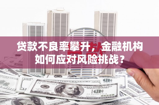 西陵贷款不良率攀升，金融机构如何应对风险挑战？