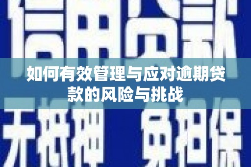 西陵如何有效管理与应对逾期贷款的风险与挑战