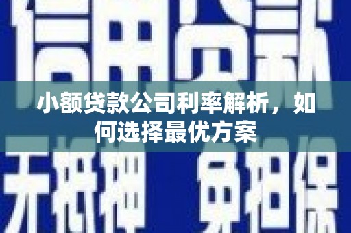 西陵小额贷款公司利率解析，如何选择最优方案