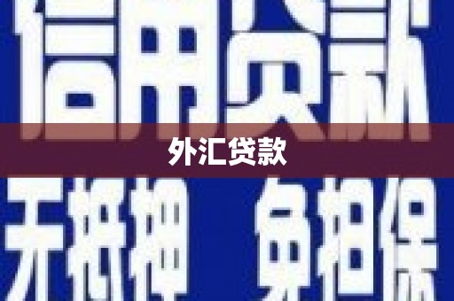 西陵外汇贷款