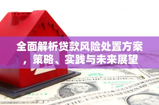 西陵全面解析贷款风险处置方案，策略、实践与未来展望