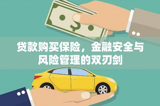 西陵贷款购买保险，金融安全与风险管理的双刃剑