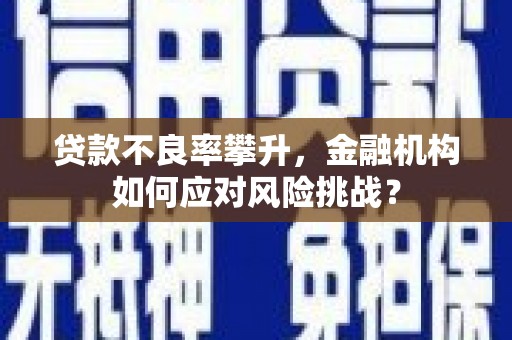 西陵贷款不良率攀升，金融机构如何应对风险挑战？