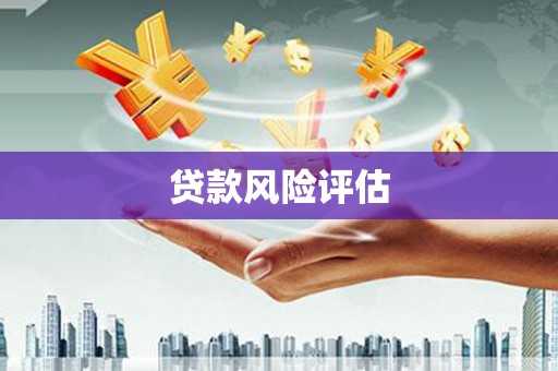 西陵贷款风险评估
