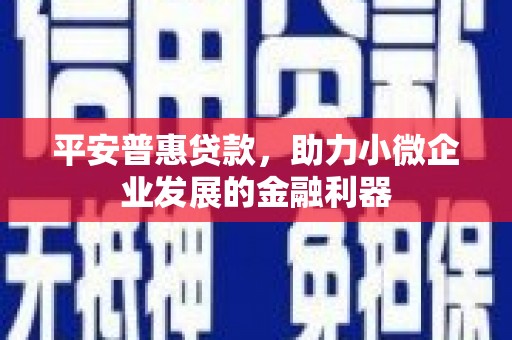 西陵平安普惠贷款，助力小微企业发展的金融利器