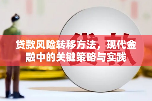 西陵贷款风险转移方法，现代金融中的关键策略与实践