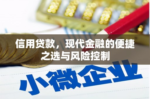 西陵信用贷款，现代金融的便捷之选与风险控制