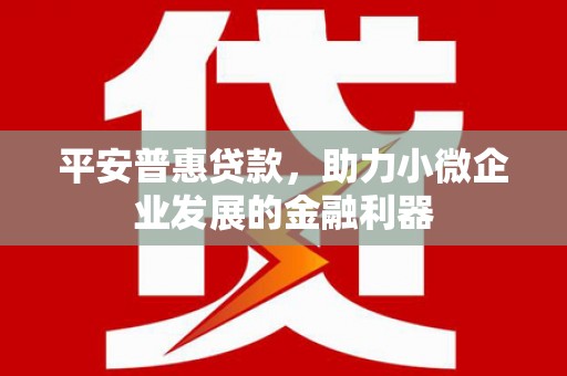 西陵平安普惠贷款，助力小微企业发展的金融利器
