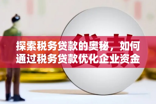 西陵探索税务贷款的奥秘，如何通过税务贷款优化企业资金流