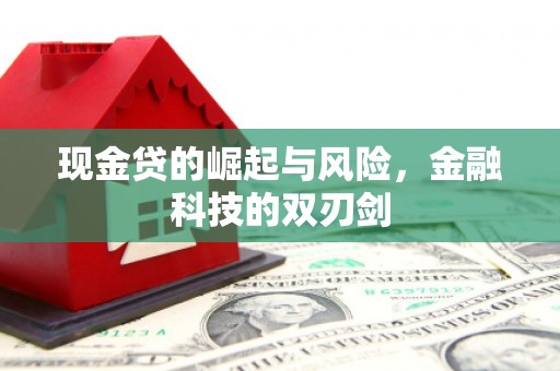 西陵现金贷的崛起与风险，金融科技的双刃剑