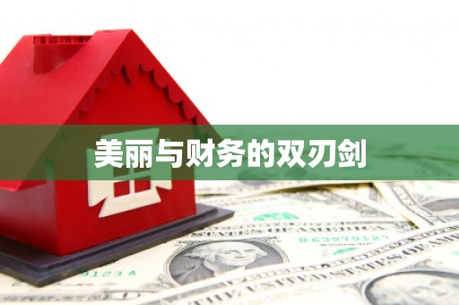 西陵美丽与财务的双刃剑