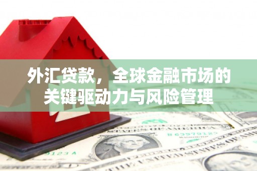 西陵外汇贷款，全球金融市场的关键驱动力与风险管理
