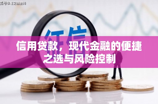 西陵信用贷款，现代金融的便捷之选与风险控制